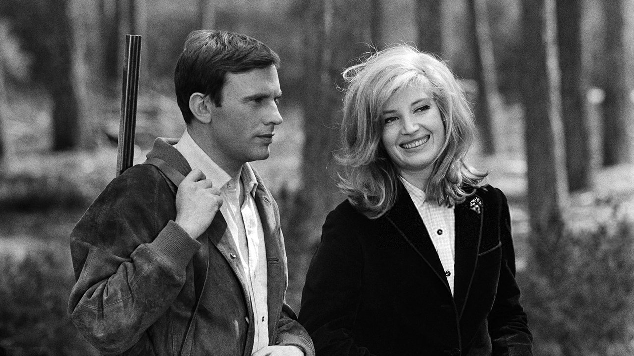 Nutty, Naughty Chateau backdrop