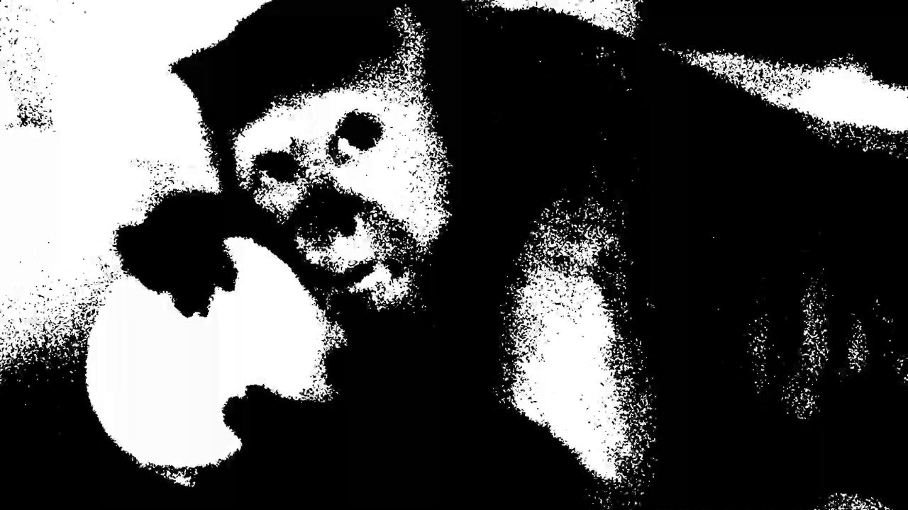 Goodbye Mr. Cinema backdrop