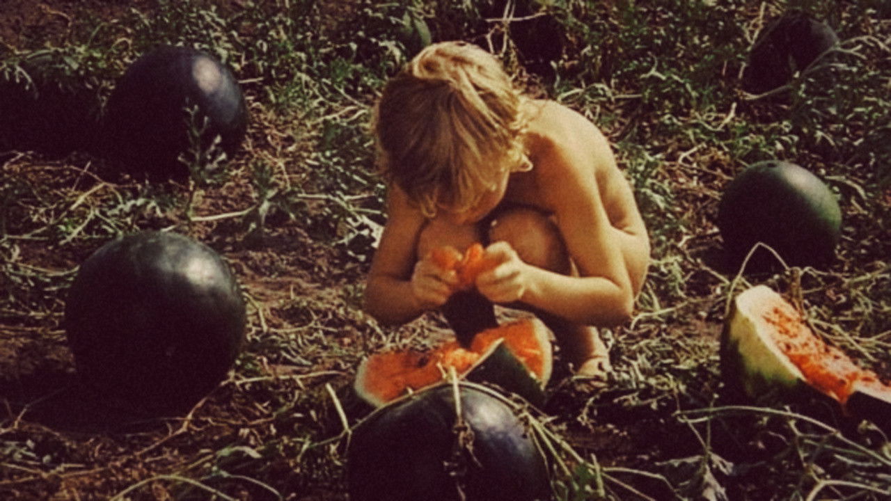 Nobody's Daughter backdrop