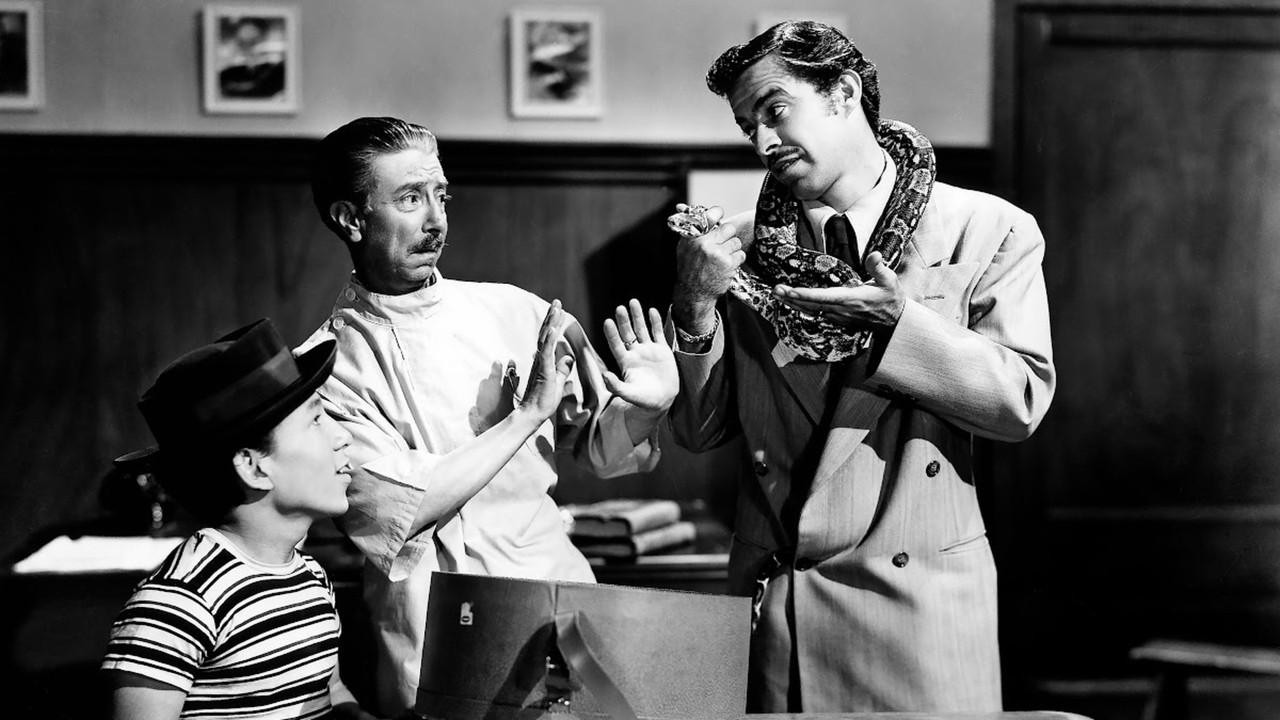 Kill Me Because I'm Dying!!! backdrop