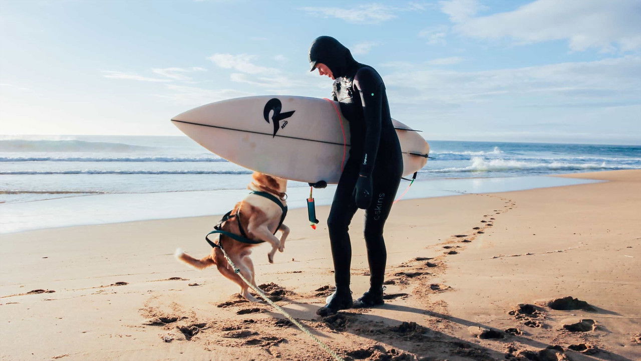 Bear Island backdrop
