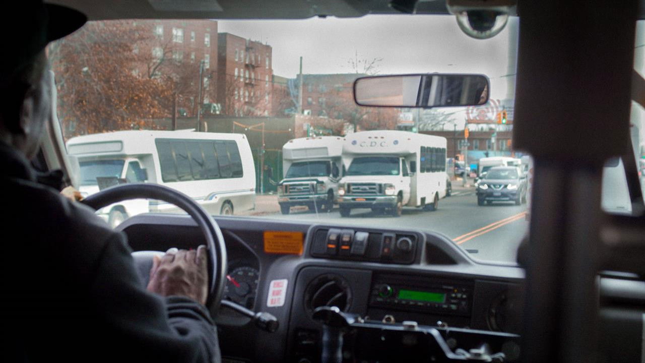 Flatbush! Flatbush! backdrop