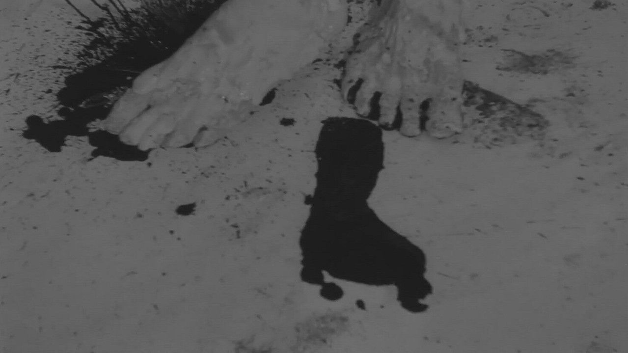 A Portrait of Mr O backdrop