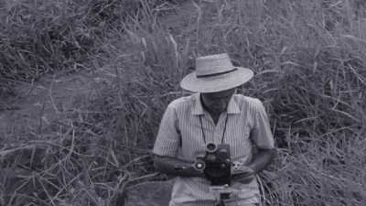 Humberto Mauro backdrop