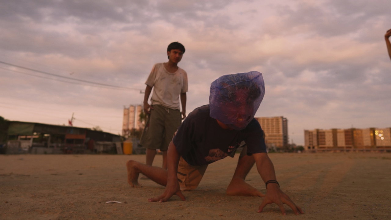 THE TIGER DANCING STILL backdrop