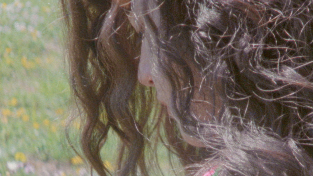 Ever Since, I Have Been Flying backdrop