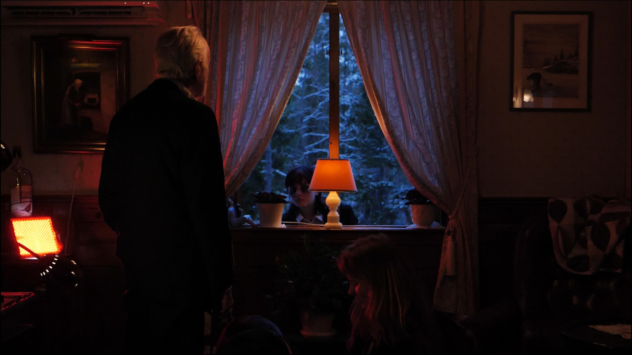 Time of Flowers backdrop