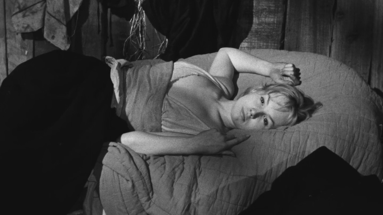 The Witches of Salem backdrop