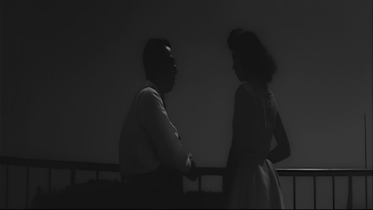 The Stars Know Everything backdrop