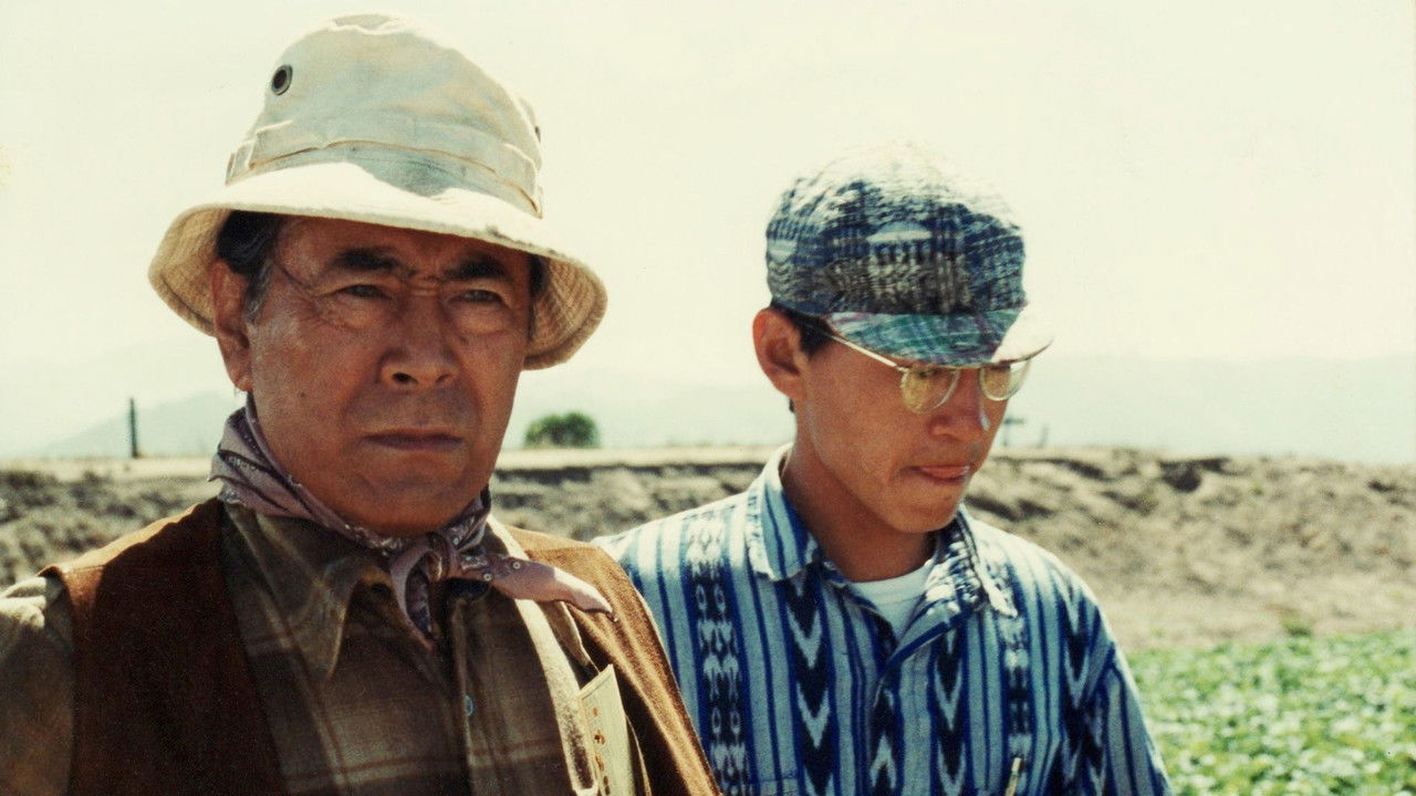 Strawberry Road backdrop