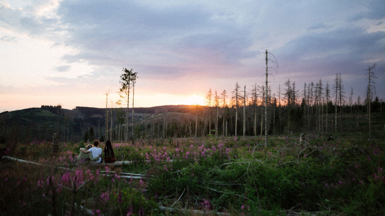 niemand wie ihr backdrop