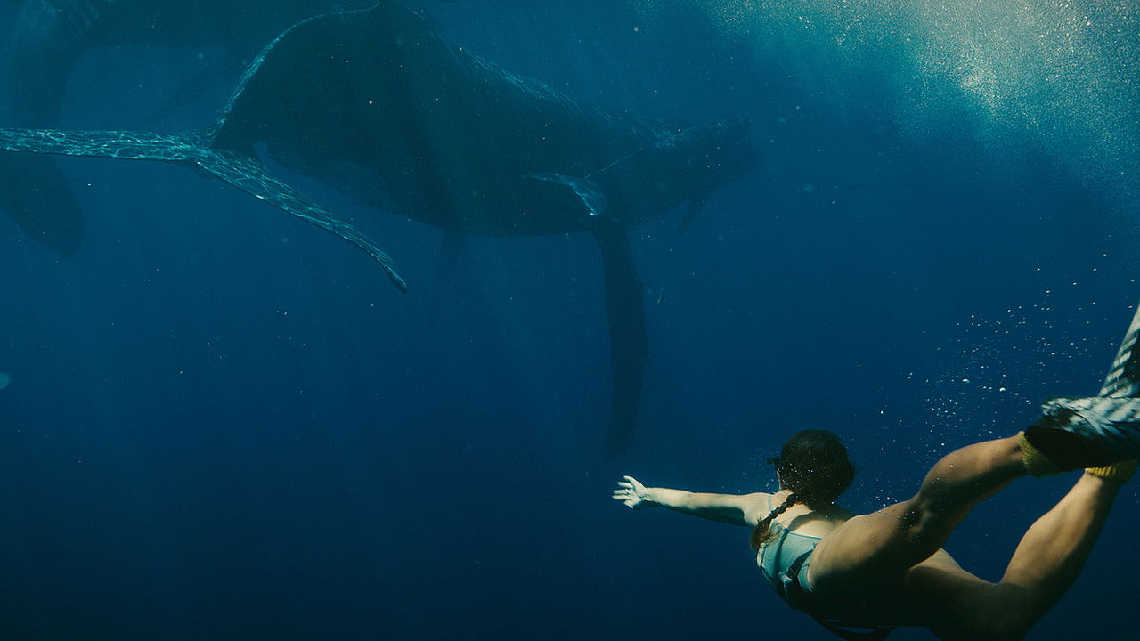 Ecos Desde el Azulado Prado backdrop