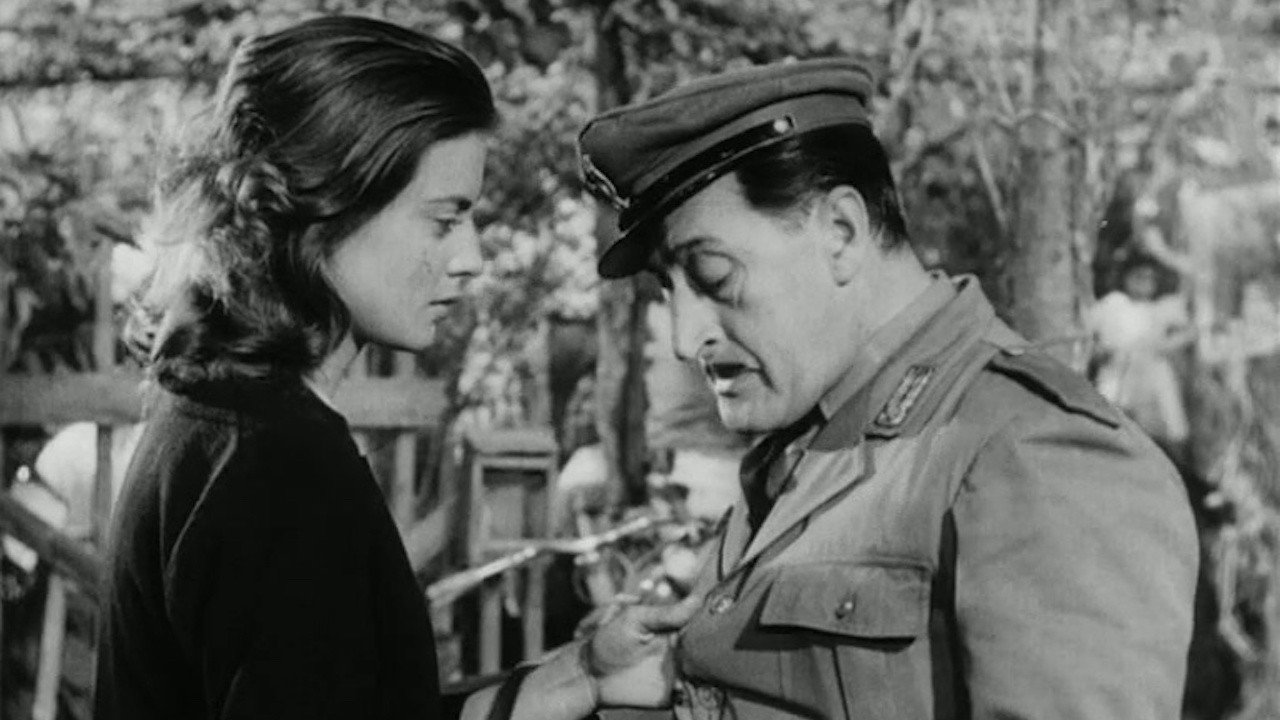 Toto and Carolina backdrop