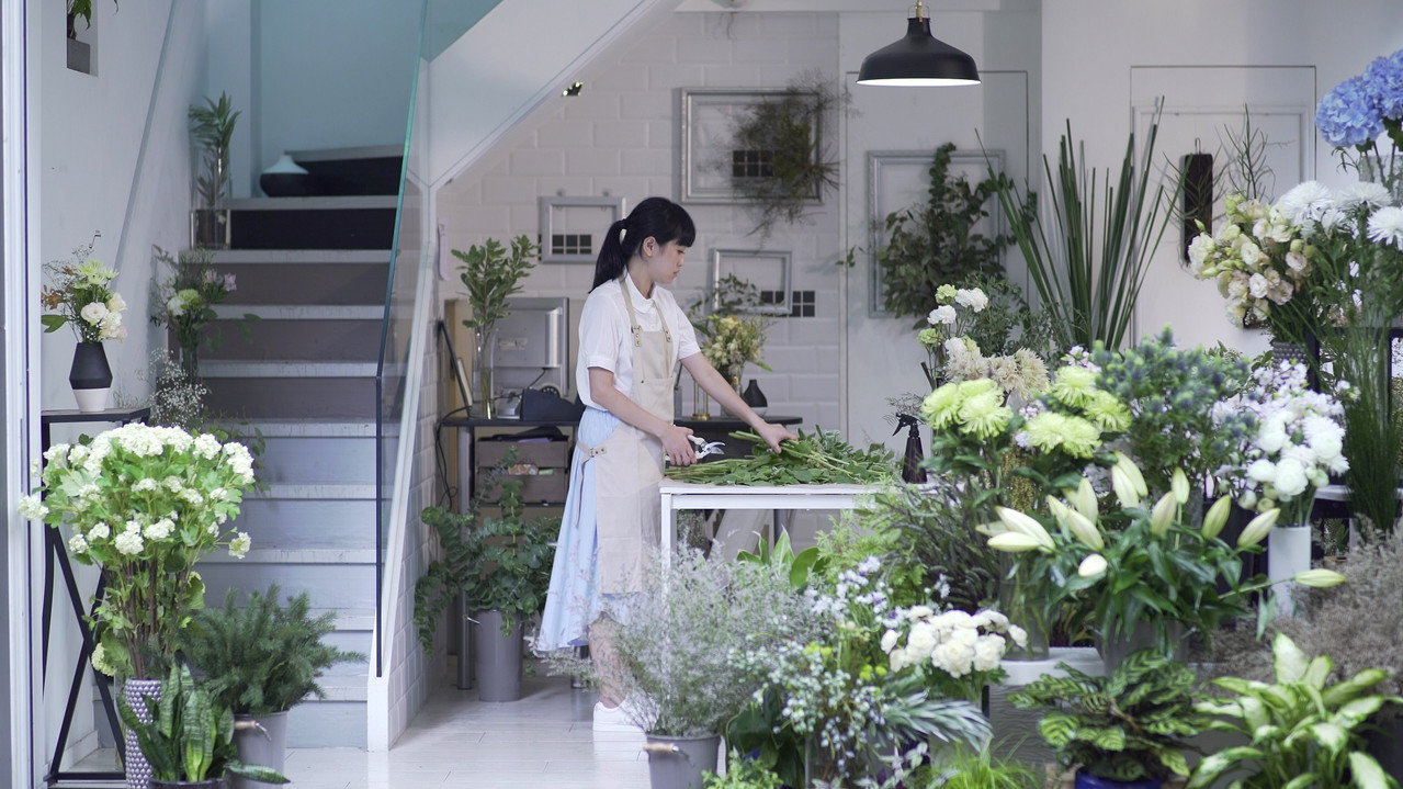 Little Shop of Grotesque backdrop