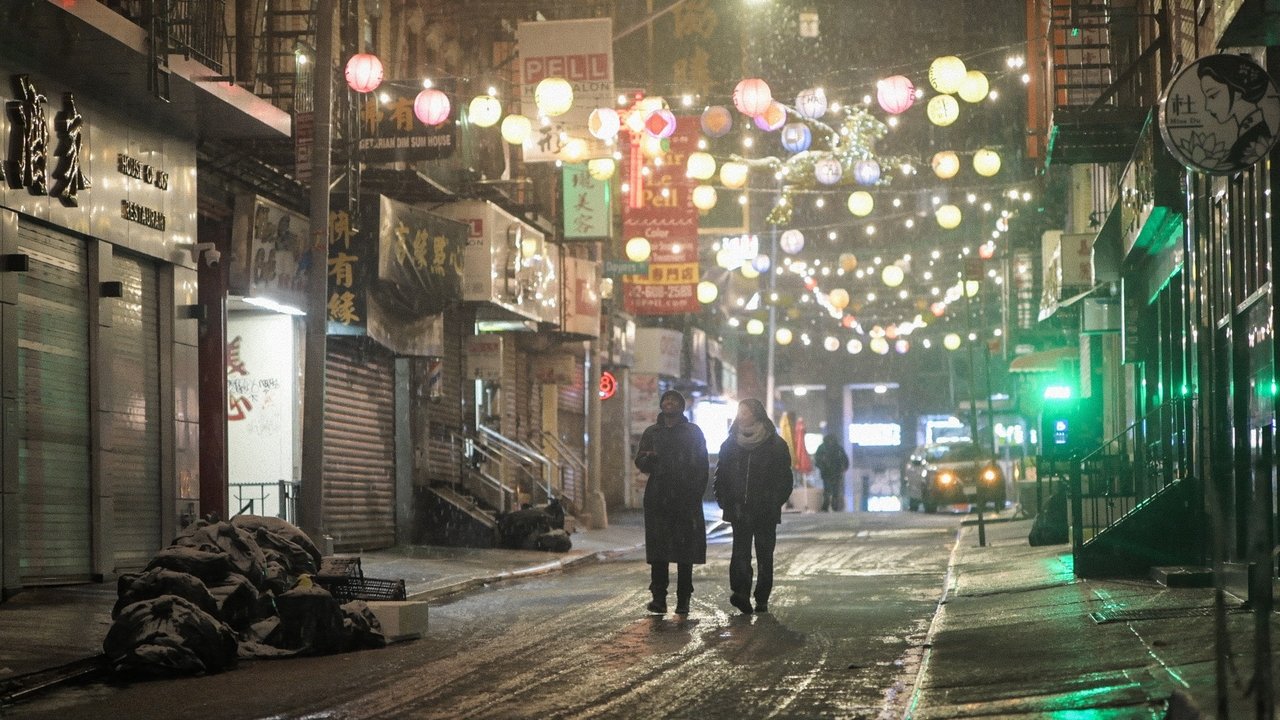 The Coldest Winter in New York City backdrop