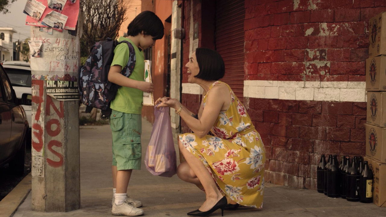 Honest Days backdrop