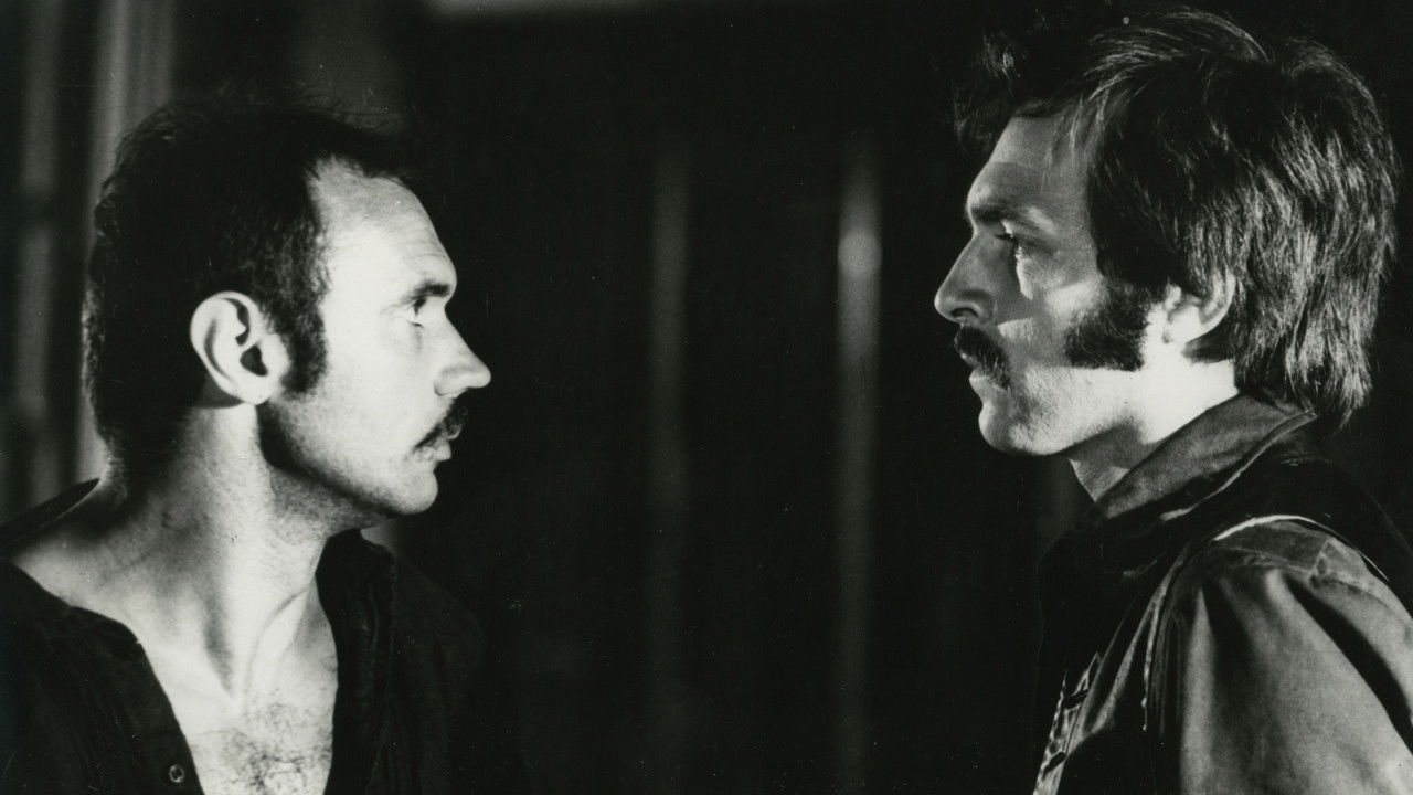 Black Diamond backdrop