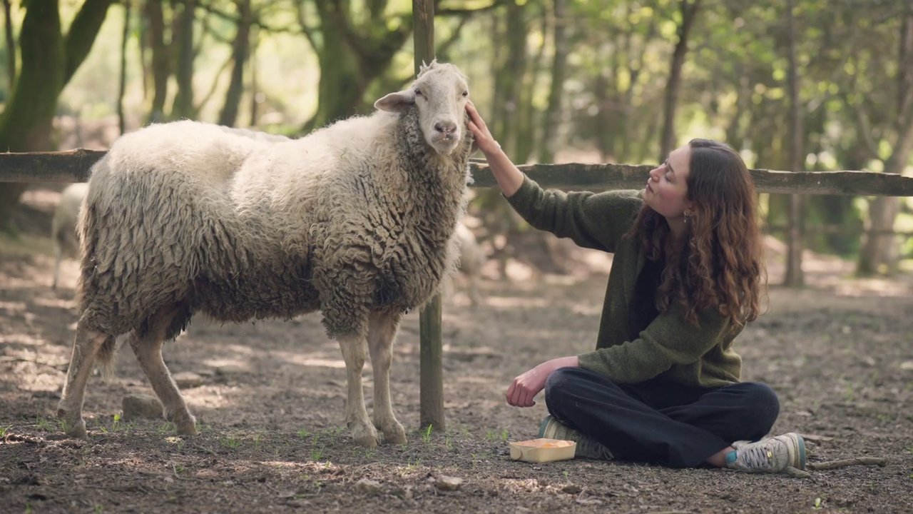 Carne: The Unsustainable Footprint backdrop