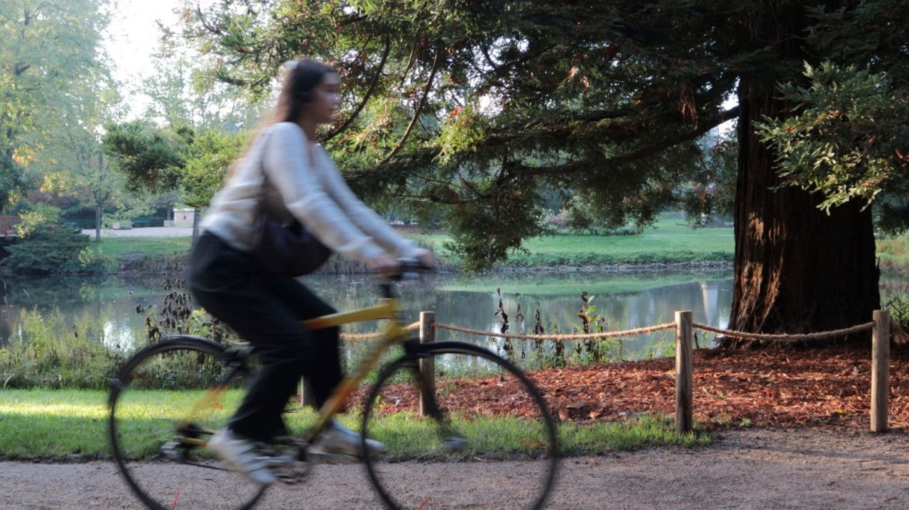 Déjeuner de Soleil backdrop