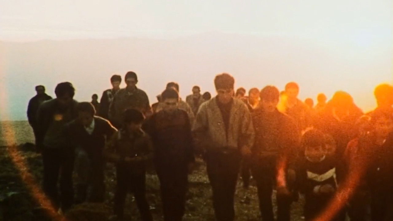 Lost Paradise backdrop