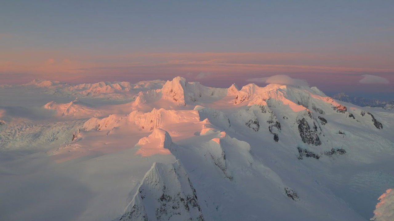 Riso Patron "Hasta las webas" backdrop