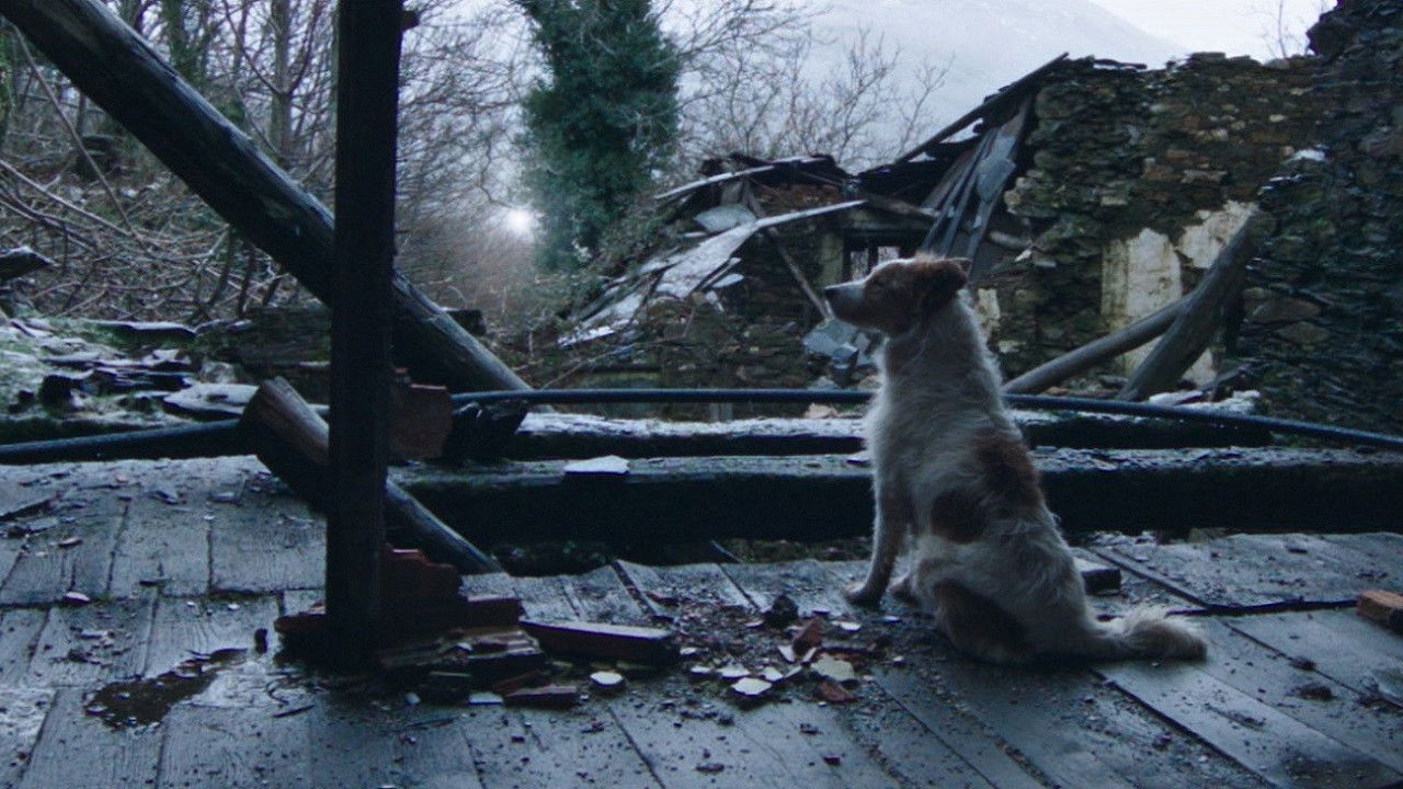 Thirty Souls backdrop