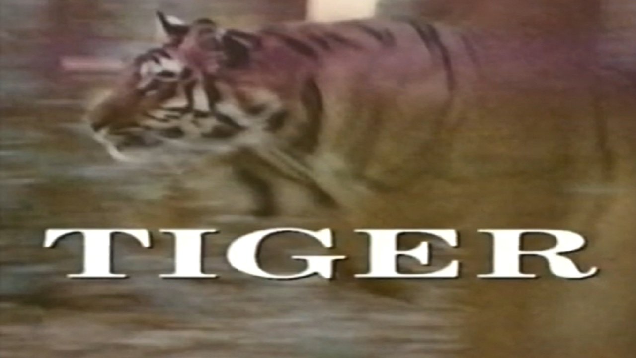 Predators of the Wild: Tiger backdrop