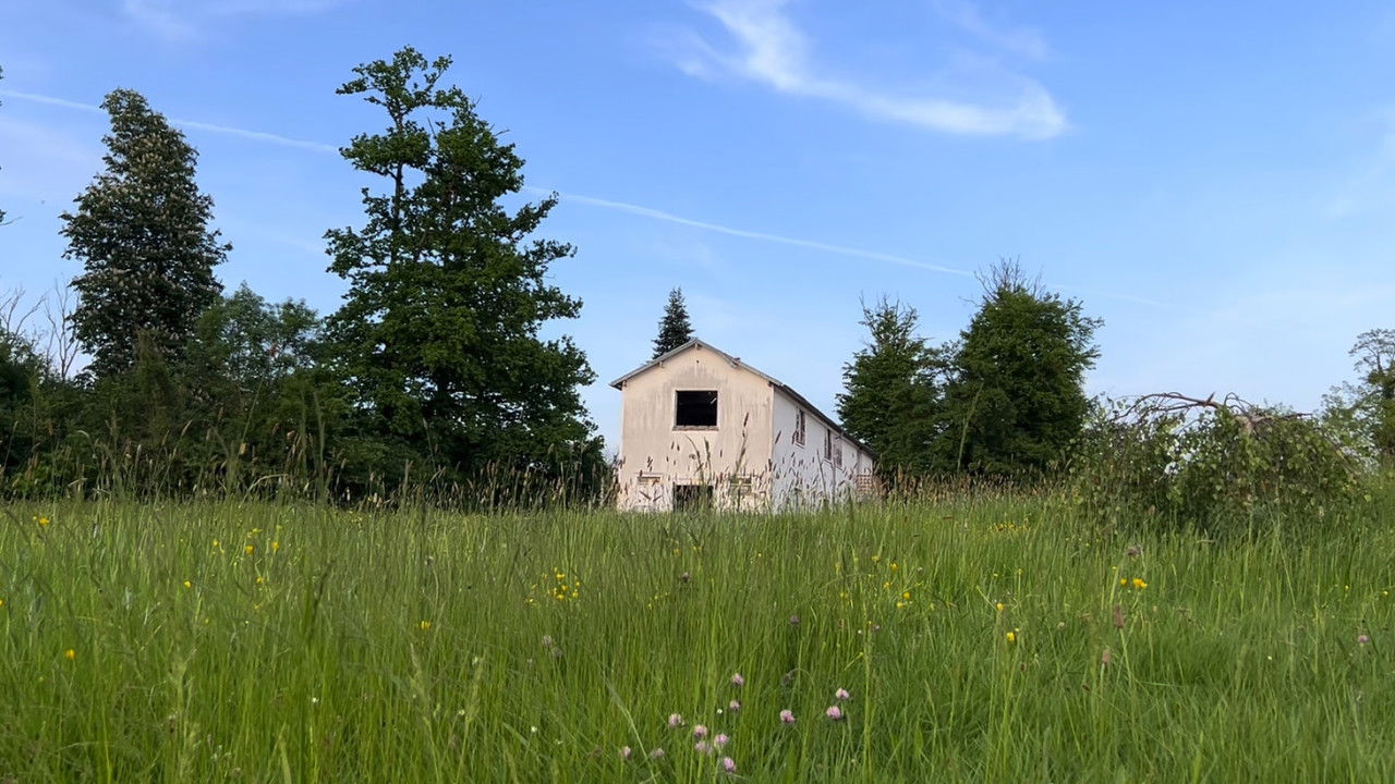 Mumble 3/4 - A la recherche de Morin backdrop