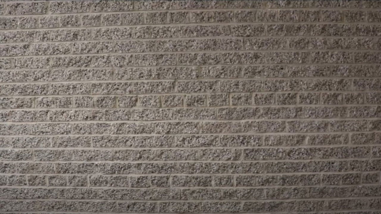 B A C K R O O M S backdrop