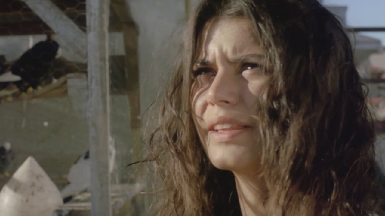 Wings of the Night backdrop