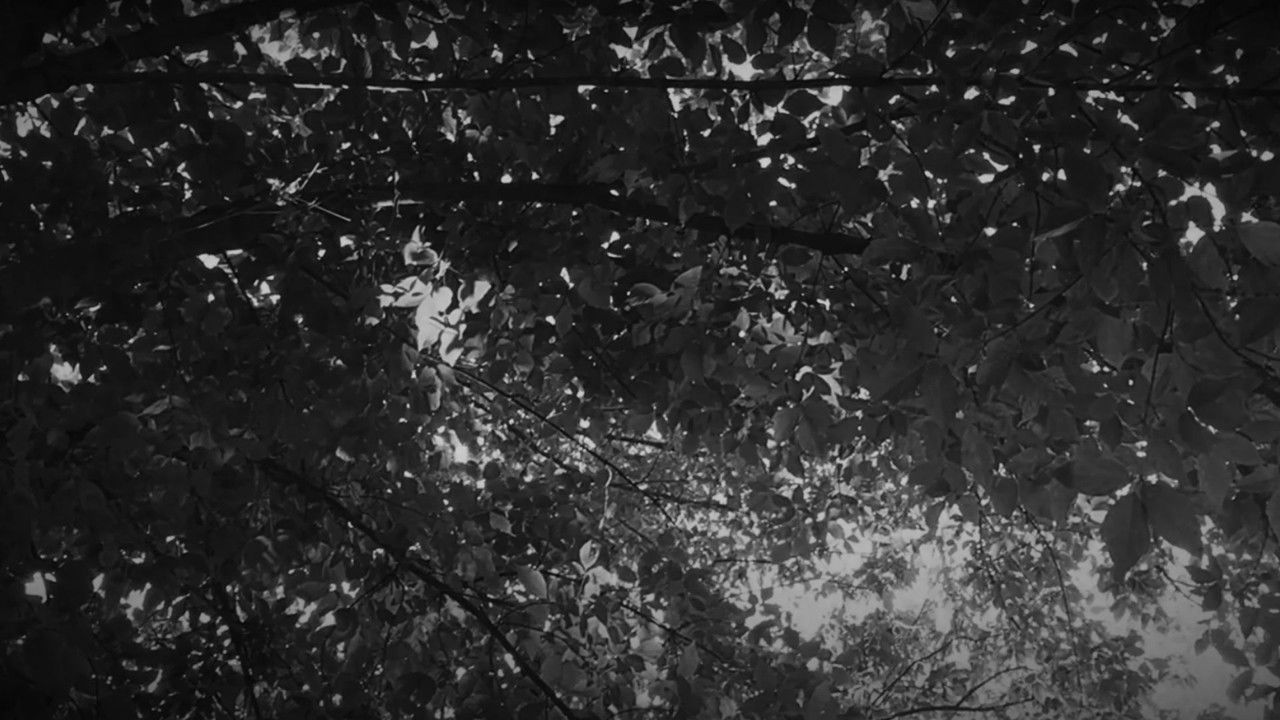 the matchbox backdrop