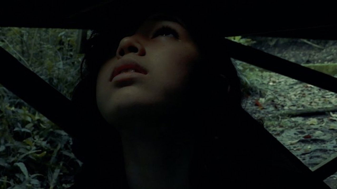 Luz en la oscuridad backdrop