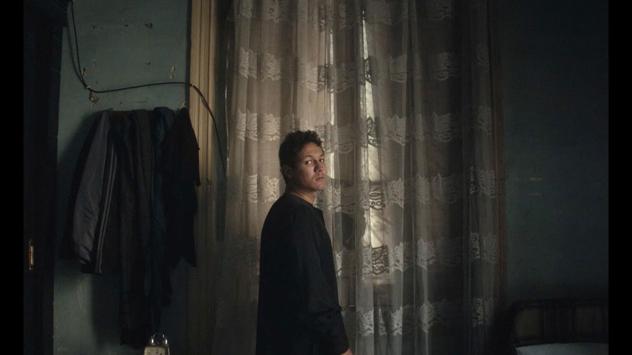 I Am Afraid to Forget Your Face backdrop