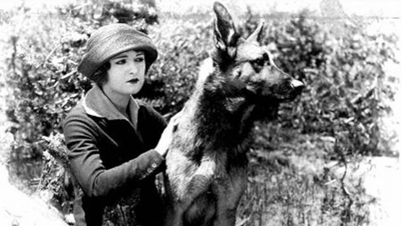 The Silent Call backdrop