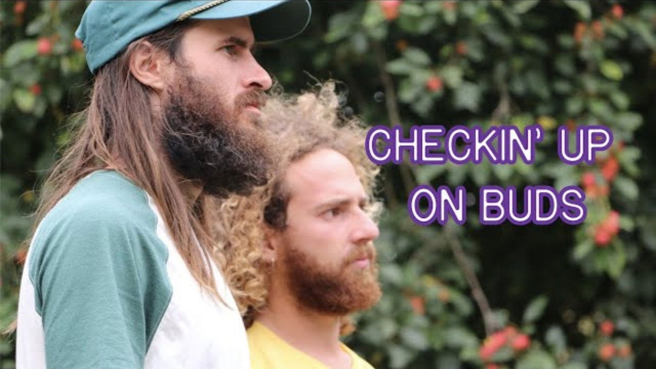 Checkin Up On Buds backdrop