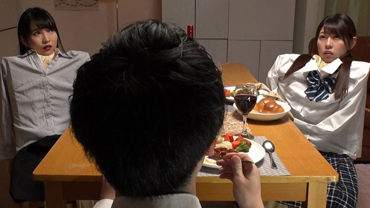 妄想アイテム究極進化シリーズ 女体化スキンダークサイド2~呪いの皮で悪堕ち~ backdrop