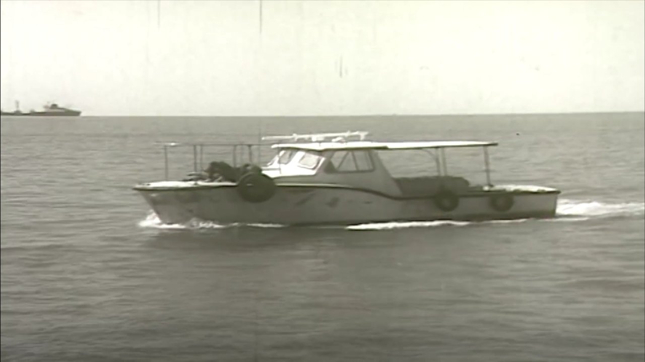 Cards on the Table: Blue Sky in the Split of Leaf backdrop