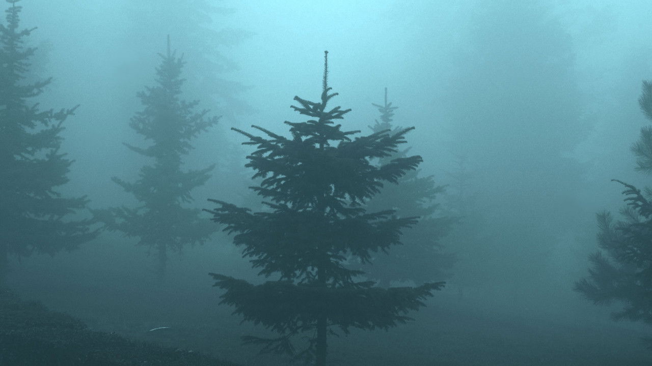 In the Mists backdrop