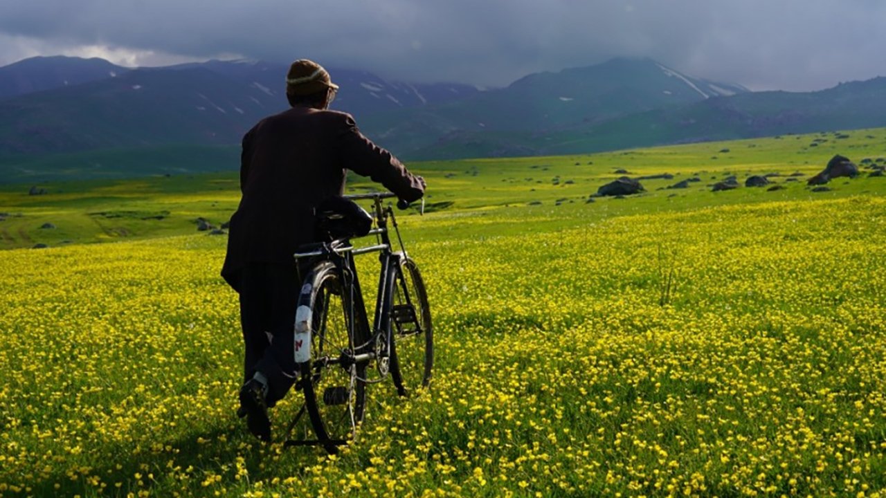 A Childless Village backdrop