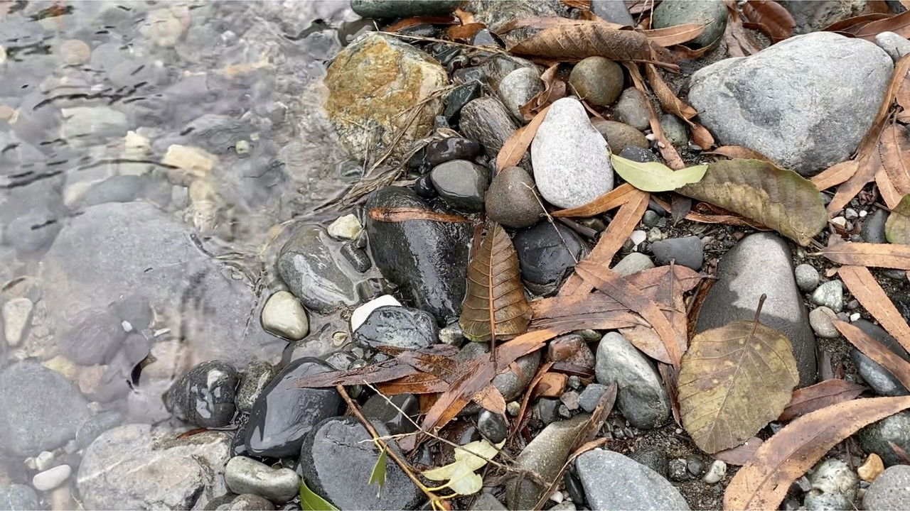 Mineral Bar backdrop