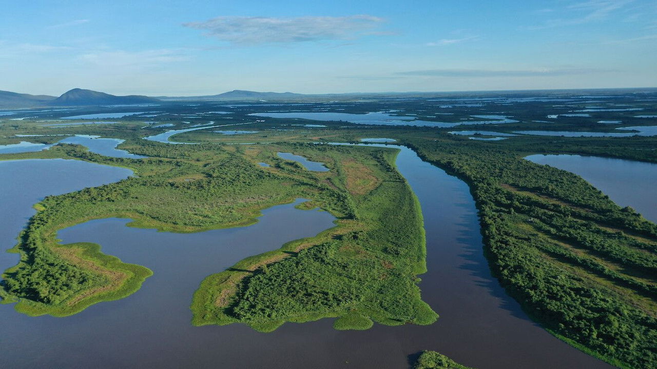Naturwunder Pantanal - Brasiliens geheimnisvolle Wildnis backdrop