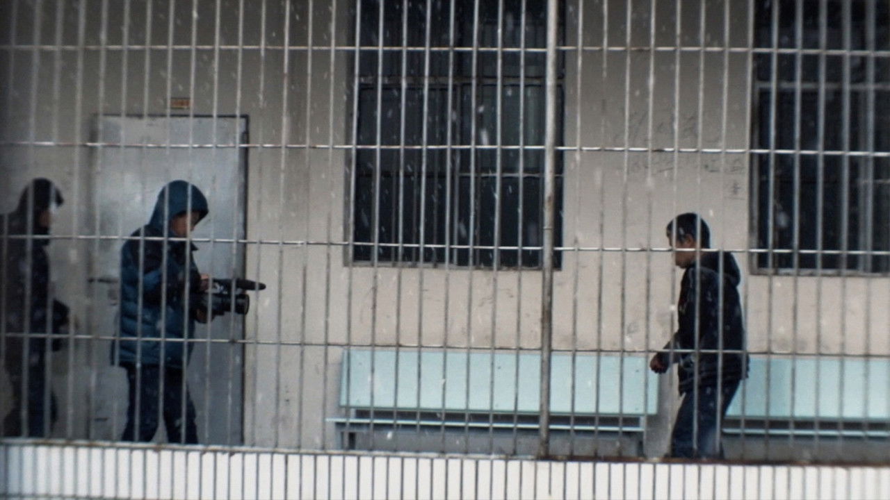 Night and Fog in Zona backdrop