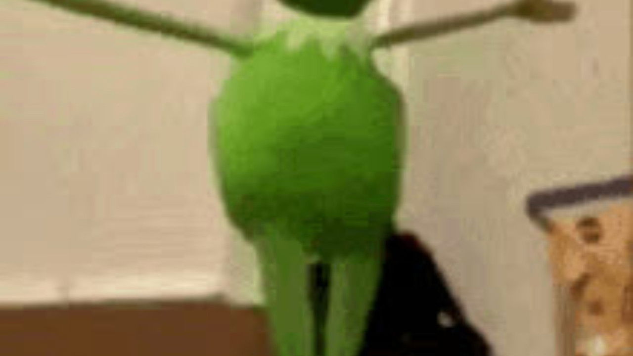 A delicate dance with god ~ {Kermit backdrop