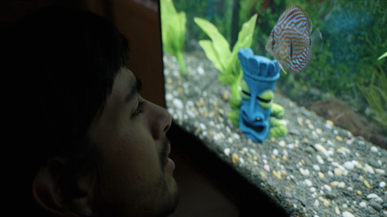 Notes from a Fish backdrop