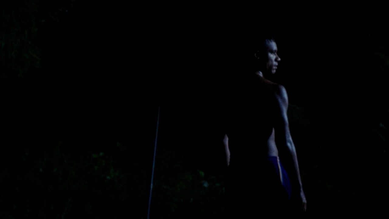 Down the orchard backdrop