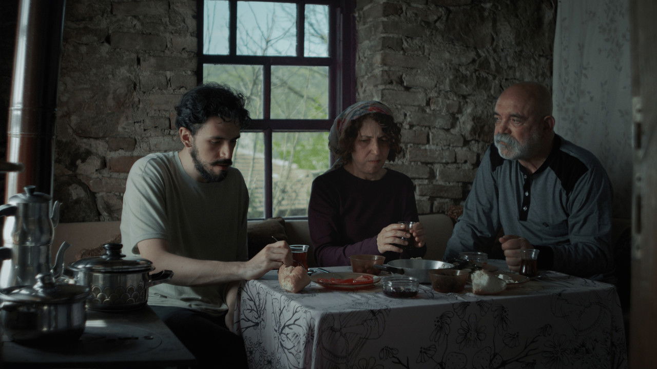 Such Things Don’t Happen in This World backdrop