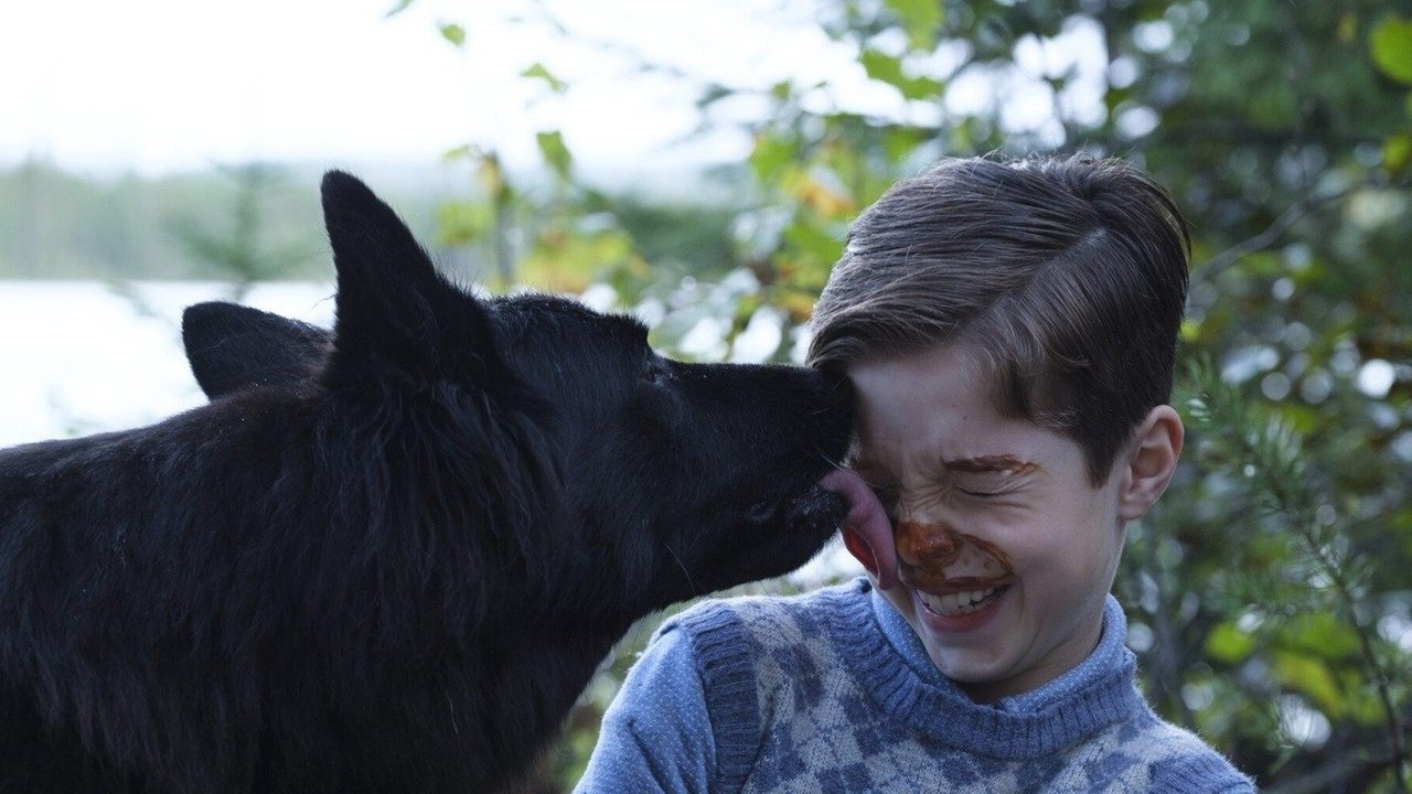 Adventures in the Land of Asha backdrop