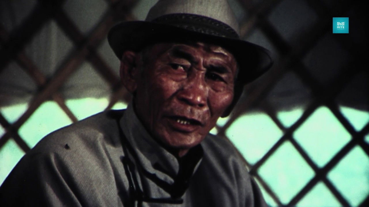 Palm trees are green in Winter backdrop