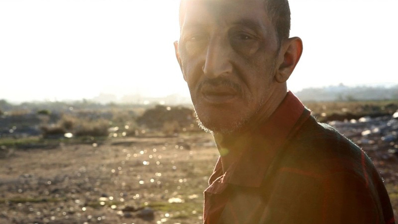 They Are The Dogs backdrop