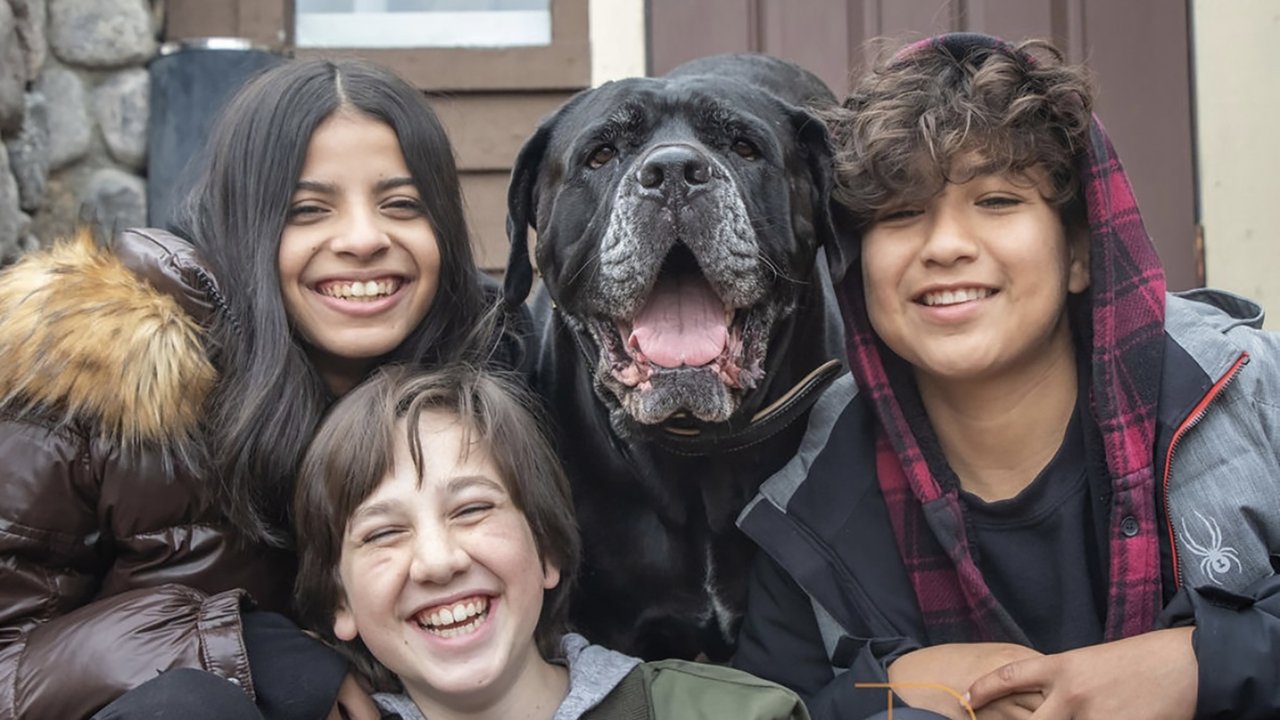 Dog Patrol: Operation Santa Paws backdrop